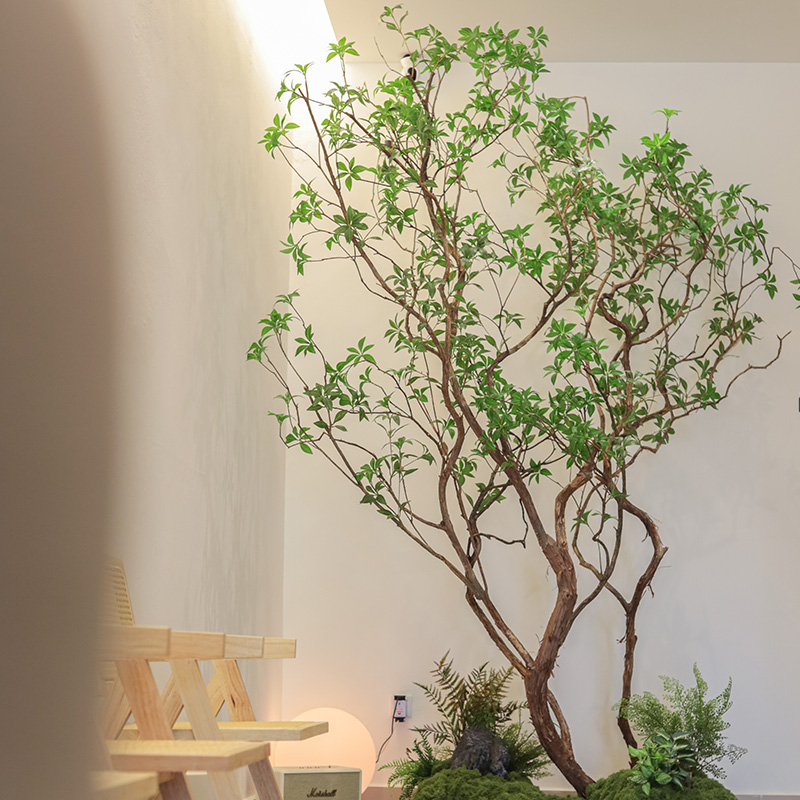 Just Chiro - Professional Chiropractic Care in Penang